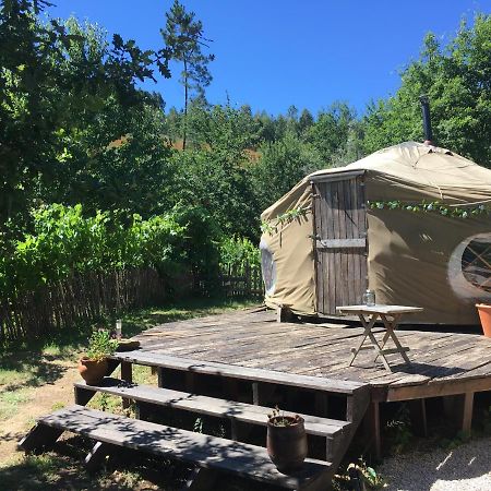 Star Gazing Luxury Yurt With River Views, Off Grid Eco Living Vale do Barco Eksteriør bilde