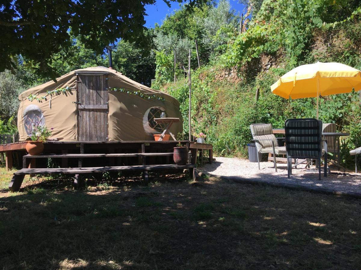 Star Gazing Luxury Yurt With River Views, Off Grid Eco Living Vale do Barco Eksteriør bilde