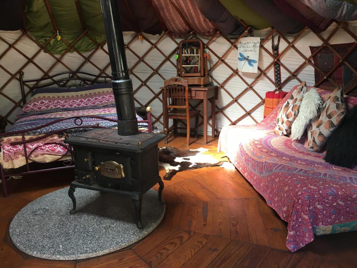Star Gazing Luxury Yurt With River Views, Off Grid Eco Living Vale do Barco Eksteriør bilde