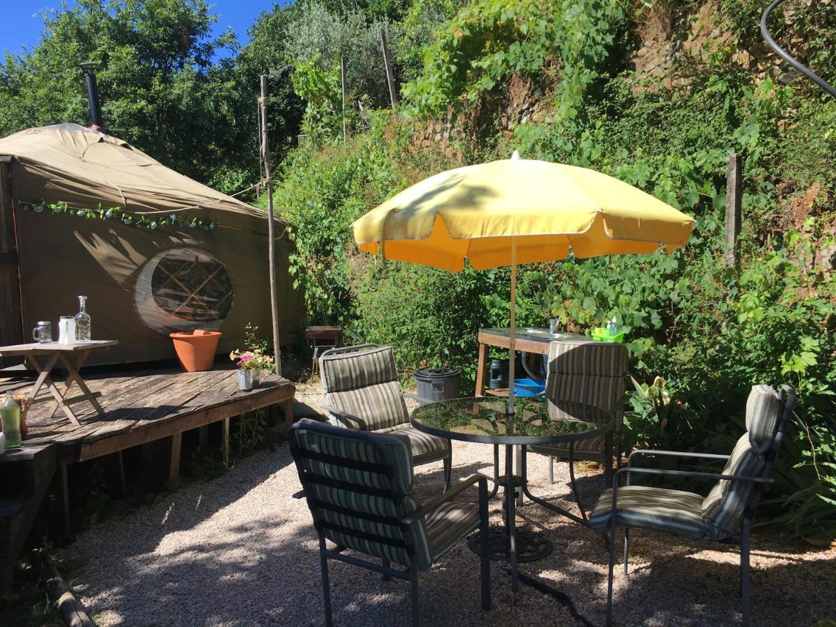 Star Gazing Luxury Yurt With River Views, Off Grid Eco Living Vale do Barco Eksteriør bilde